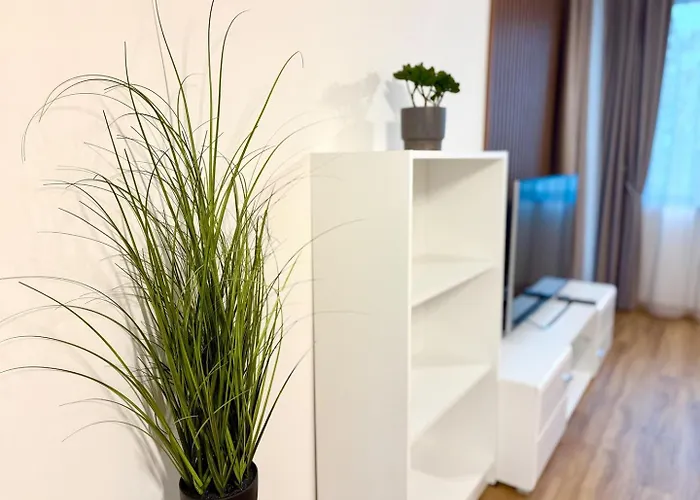 Simphony * וארנה